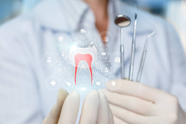 Professional Dental Services in Lake Hamilton, FL